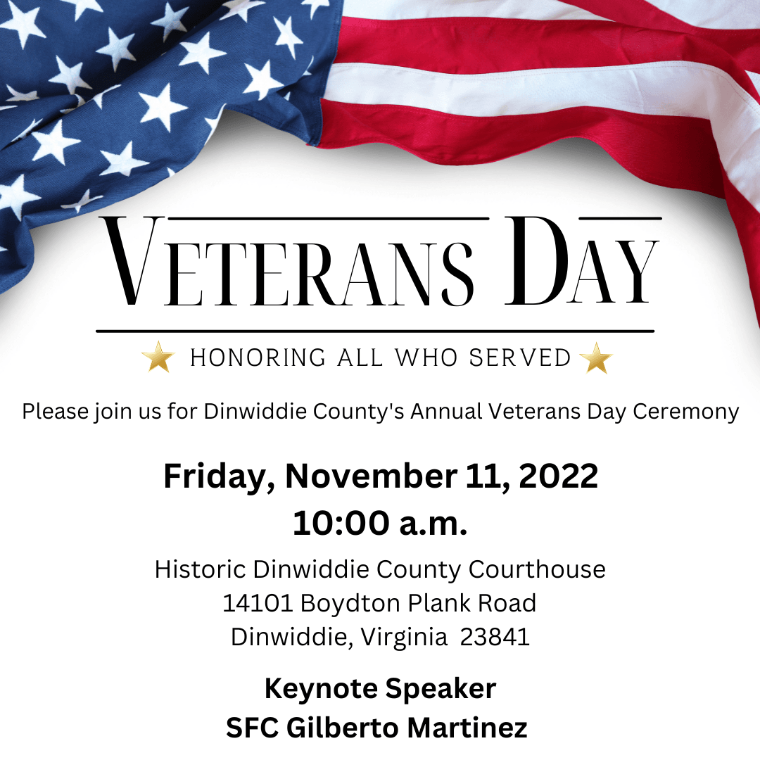 Veterans Day Infographic 2022