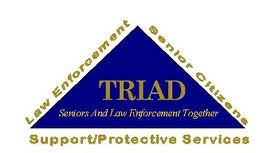 TRIAD Logo